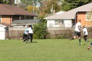 OTFL Gallery Image